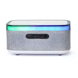 Multifunctional Speaker